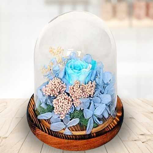 Preserved Blue Rose in Glass Dome