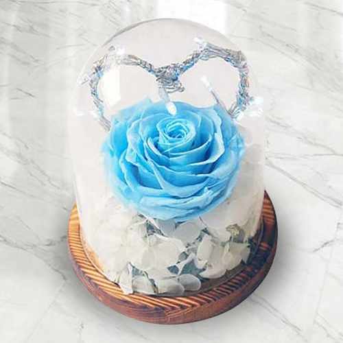 Preserved Rose and Hydrangea in Glass Dome