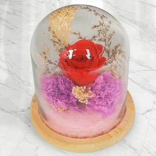 Preserved Red Rose in Glass Dome