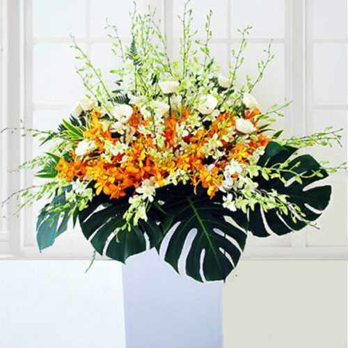 White Gerberas and Orchids of Peaceful Funeral