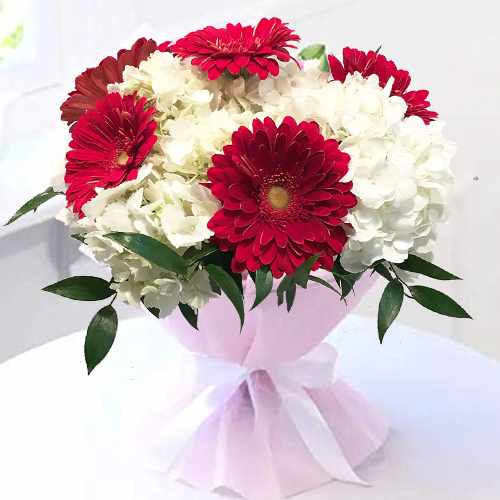 Bouquet of Red Gerberas and white Hydrangea