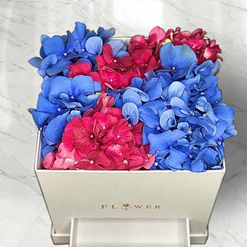Red and Blue Hydrangeas in Curio Box