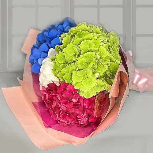 Enticing Multicoloured Hydrangeas Bouquet