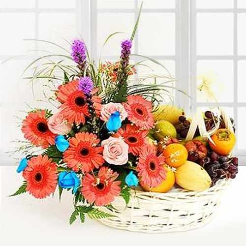 Get Well Daisy and Assorted Fruits Hamper